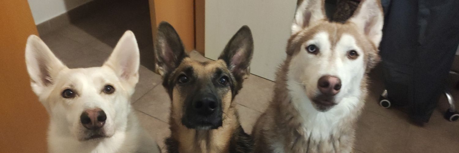 srapavona's profile banner image