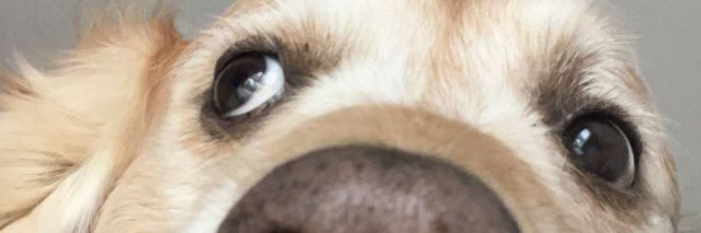 __Karismatic_'s profile banner image