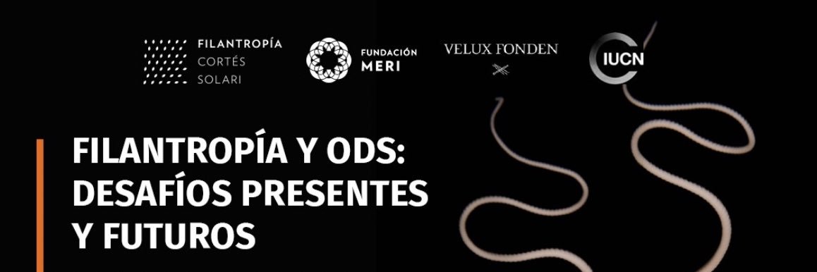 Fundación MERI banner