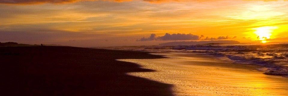 bigchaleee's profile banner image