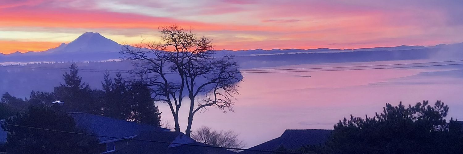 mariamagee03's profile banner image