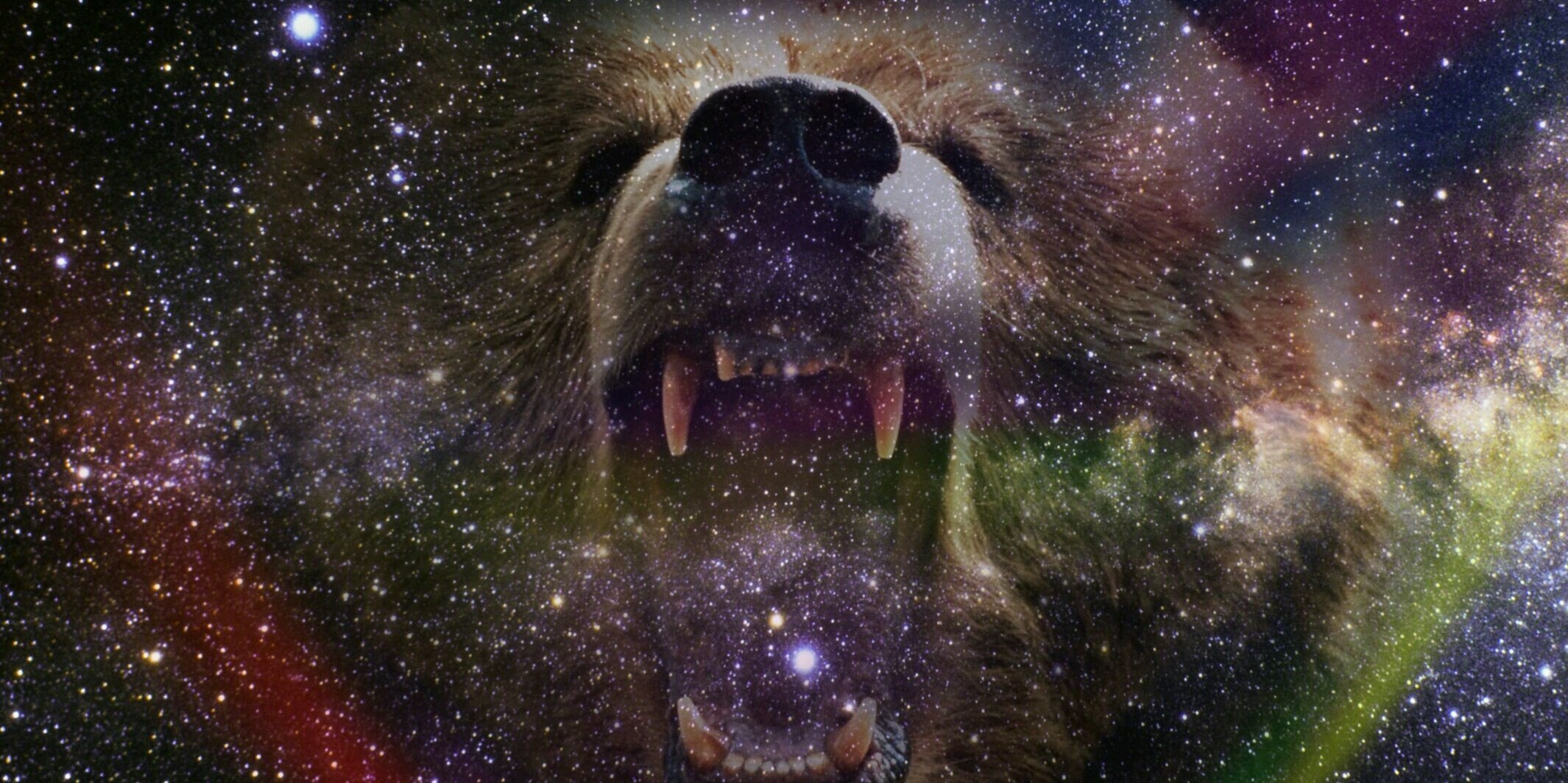 BehmMyers's profile banner image