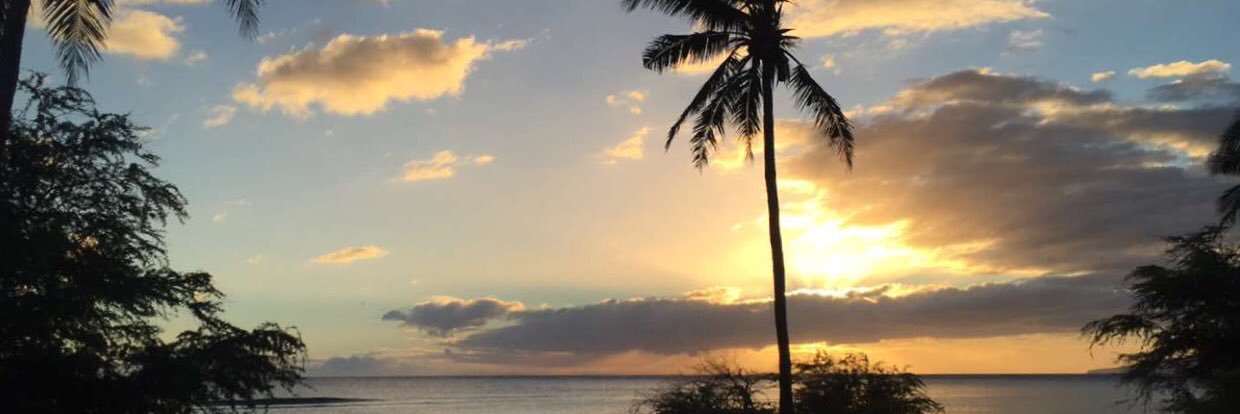 corzo1106's profile banner image