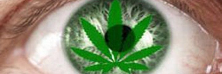 vedaterzi's profile banner image
