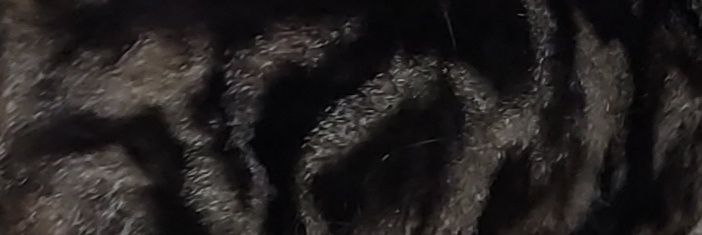 Maczusia's profile banner image