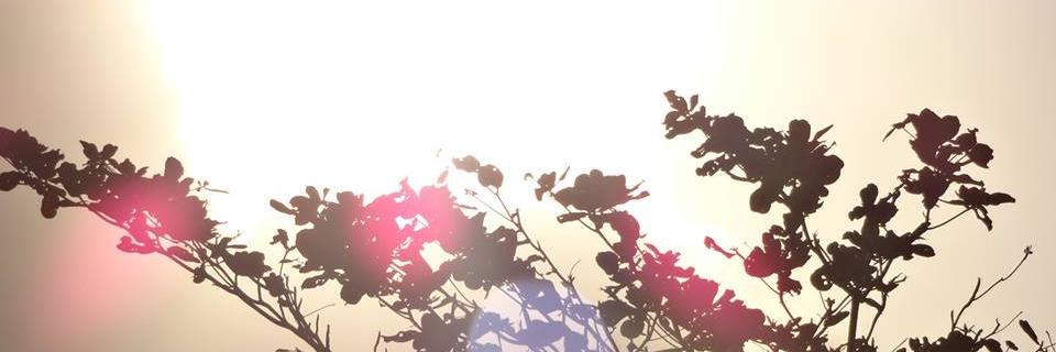 nafsurrokhman's profile banner image