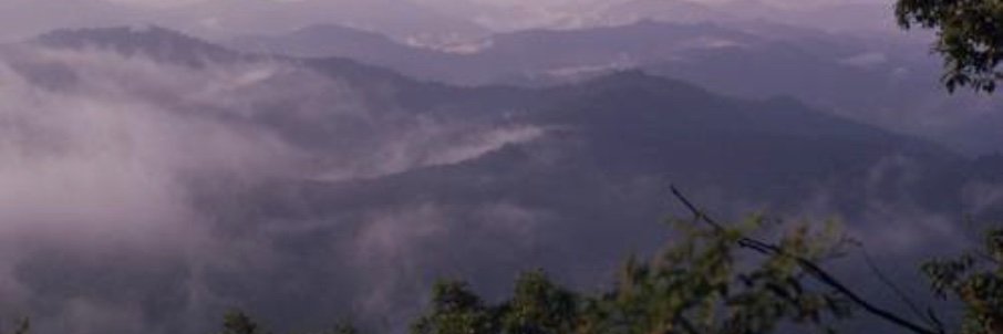 AFFRILACHIAN banner