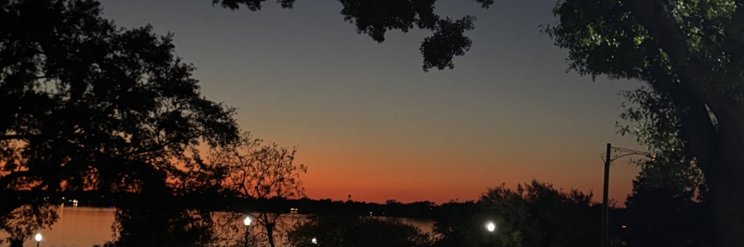 zarai_'s profile banner image