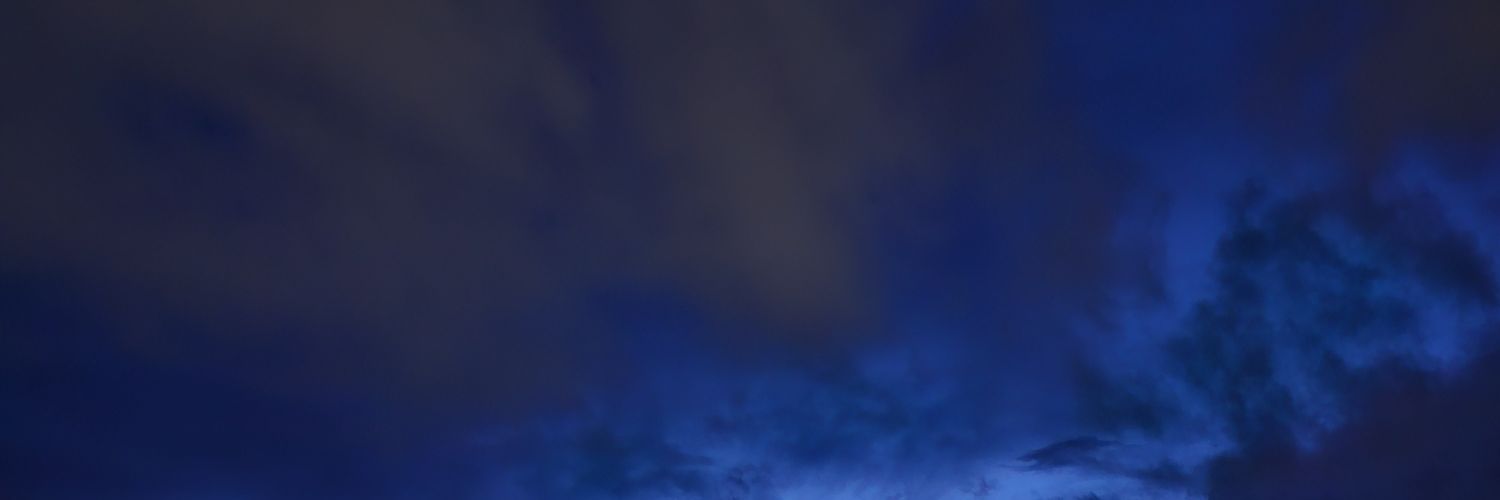didoneda's profile banner image