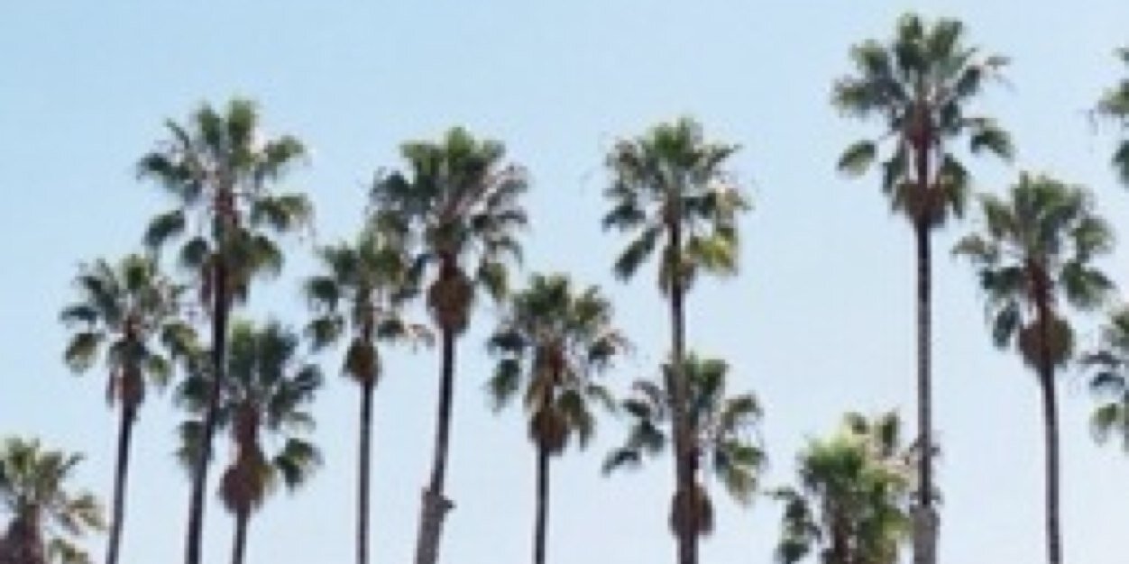 hasina_p's profile banner image