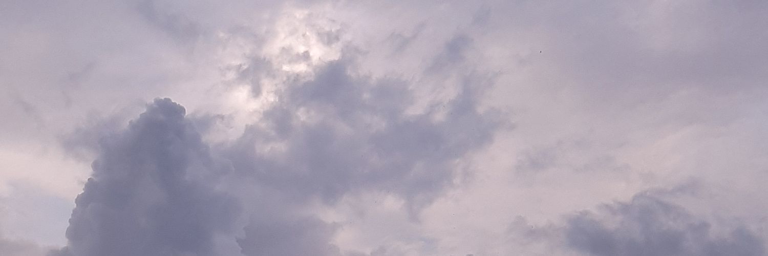 mar banner