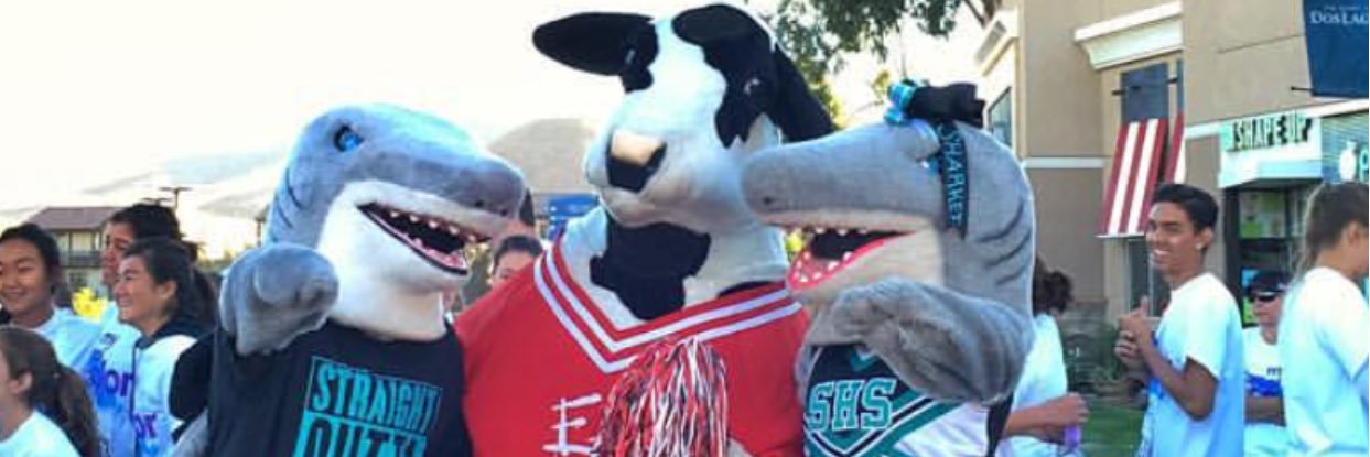 ShsSharkie's profile banner image