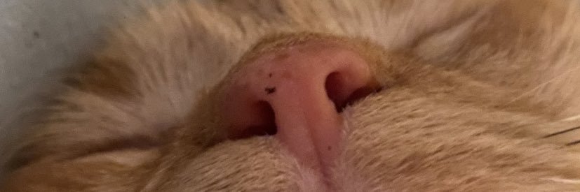 abbyriche's profile banner image