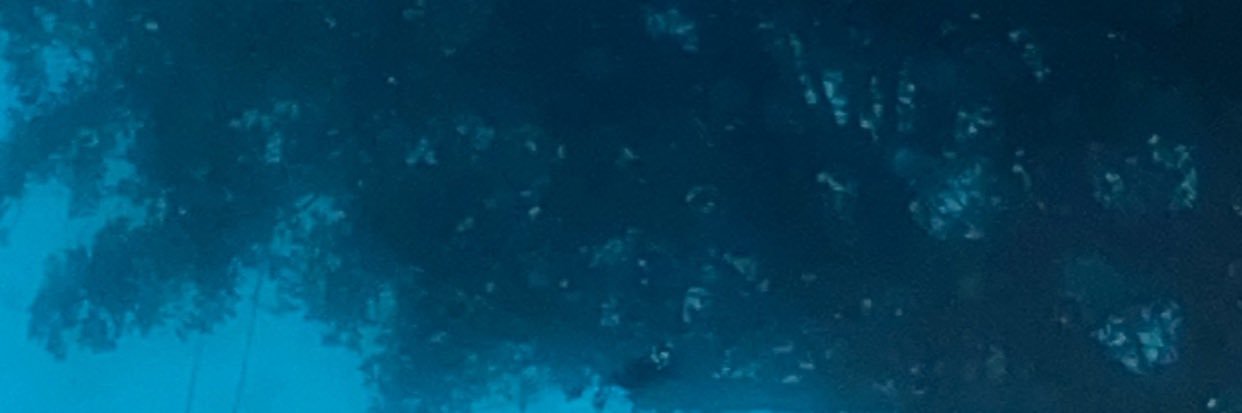 BLUECheef's profile banner image
