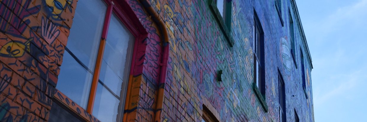 Matt Litchfield banner