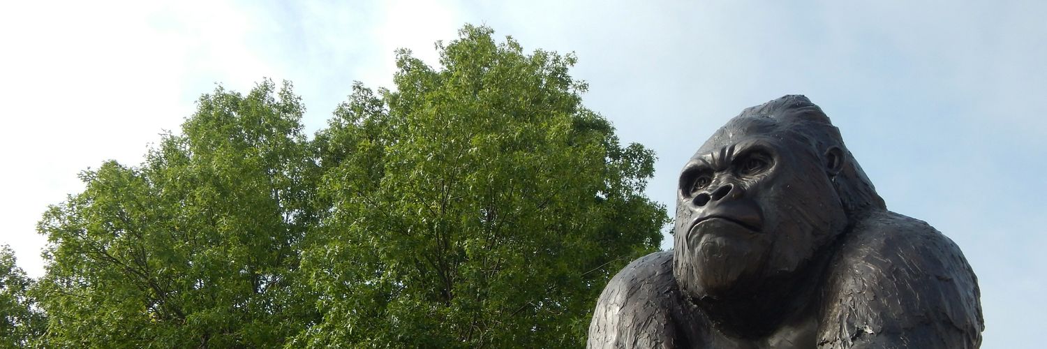 Tickle Me Dyson 👑 banner