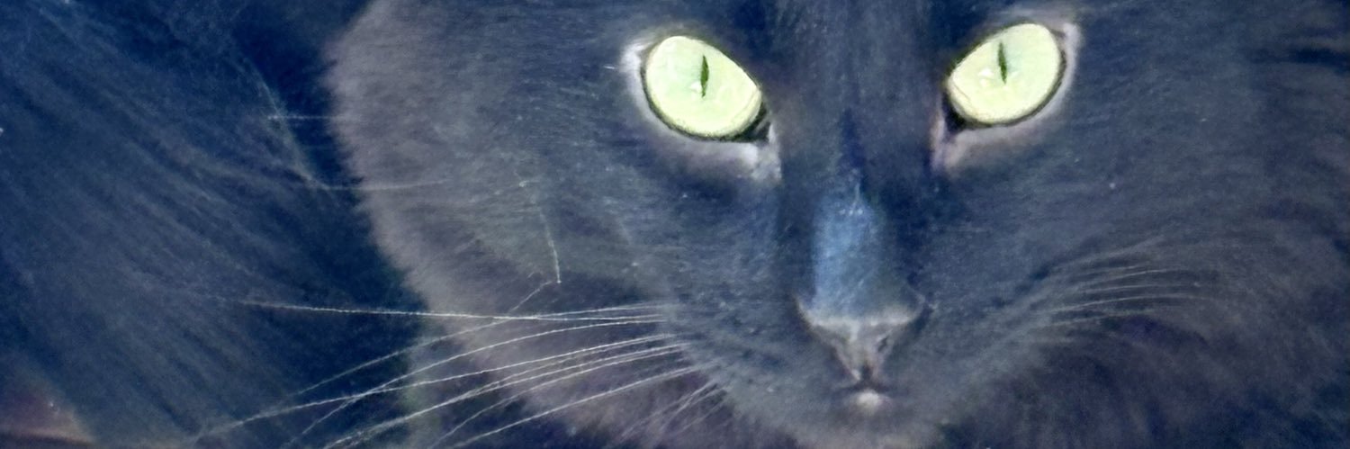mhscott33's profile banner image