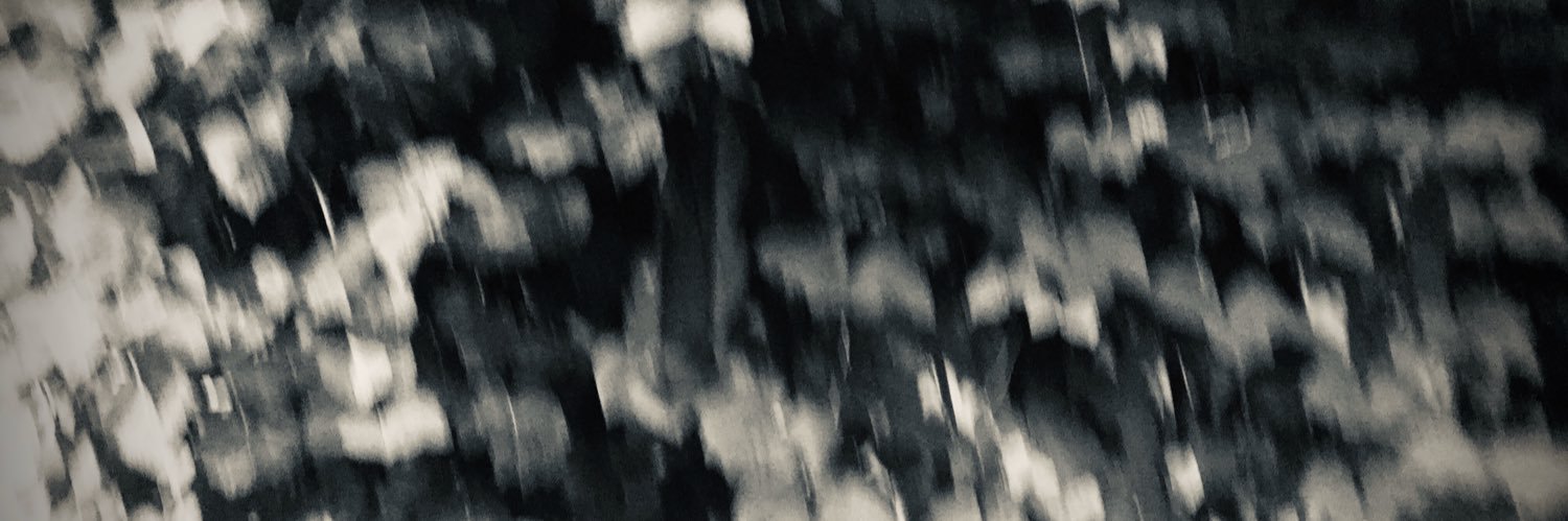 johnverhaeven's profile banner image