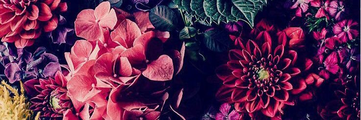 Saraangulo24's profile banner image
