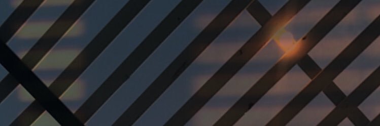 martinadf__'s profile banner image