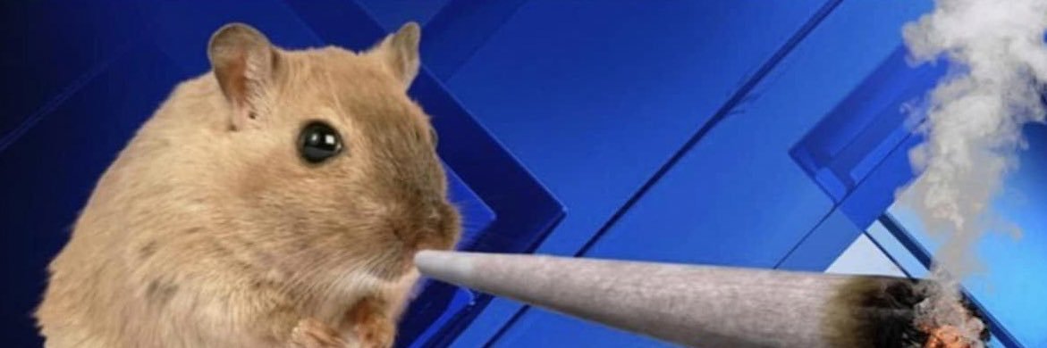 c00chsoup's profile banner image