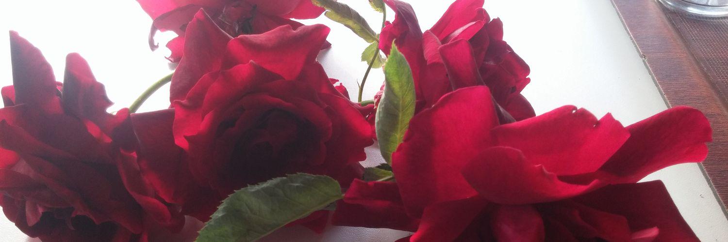 cetin_ap's profile banner image