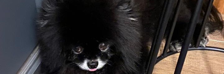 teca_mooca's profile banner image
