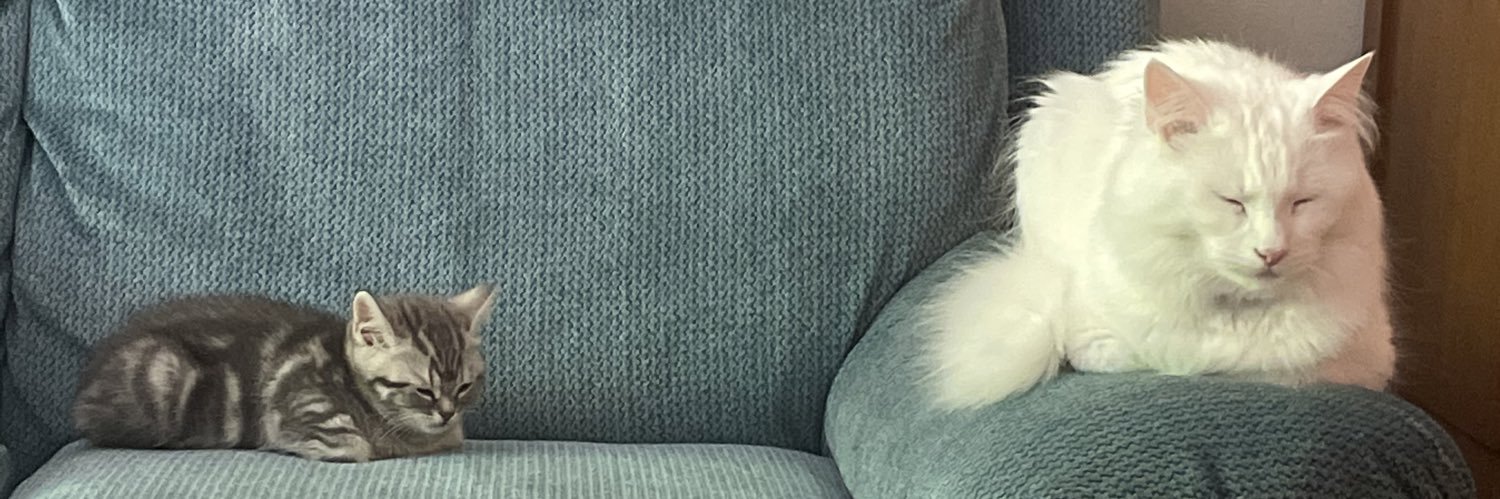 koopytroopy's profile banner image