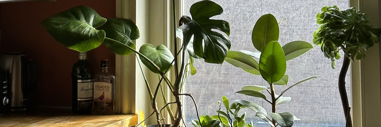marcellarubini's profile banner image