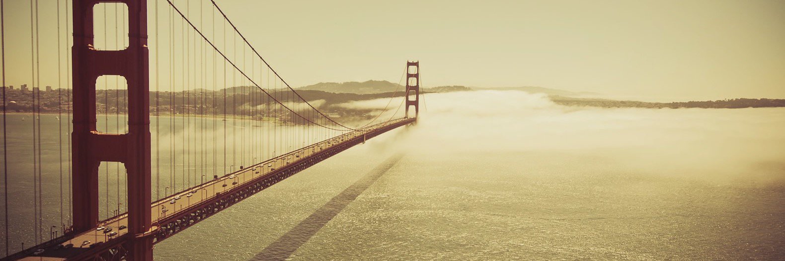 Startup Catalyst banner