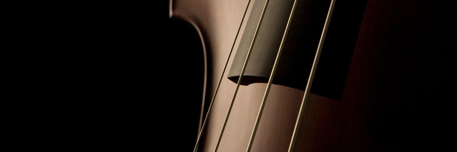 kiwi_mos's profile banner image