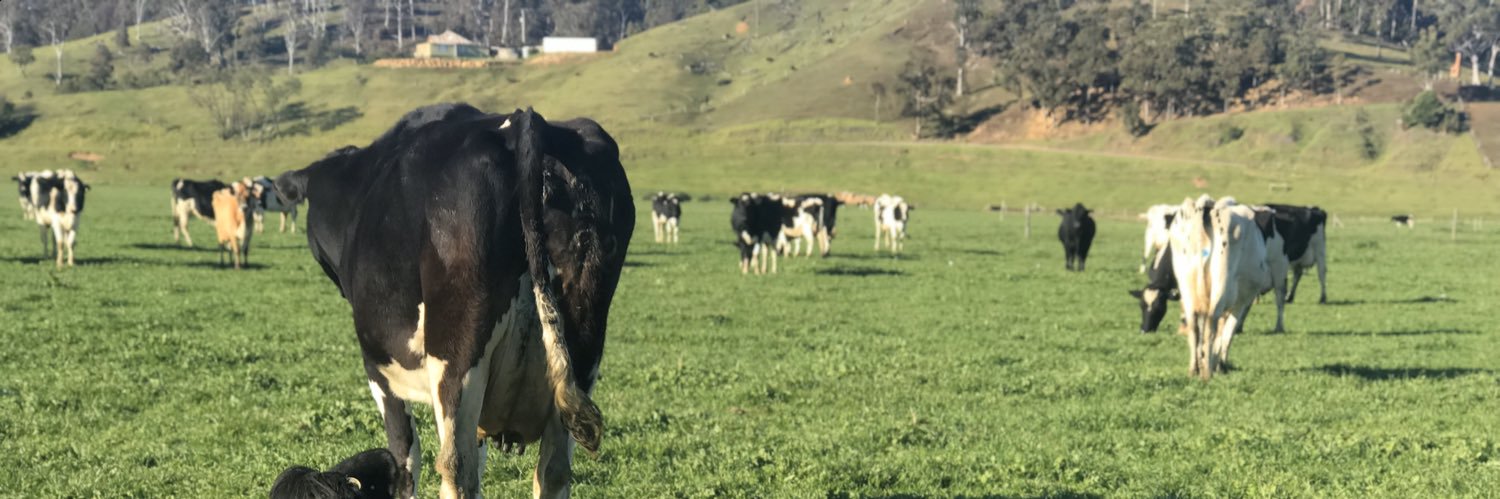 wildfonterra's profile banner image