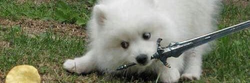 Robot_Potato's profile banner image