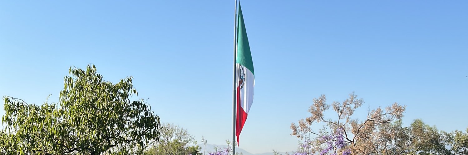 Salvador Lira R. banner