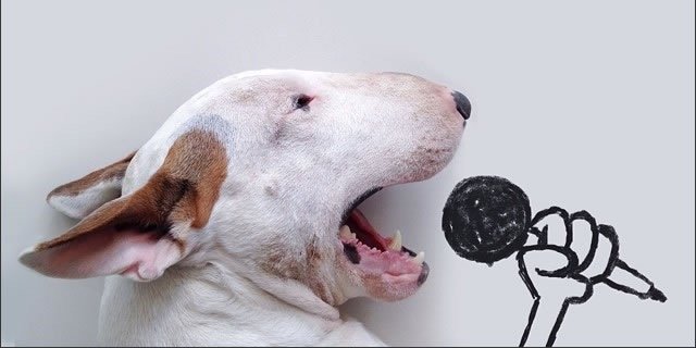dviddarock's profile banner image