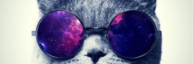 Rodrigotkmtkm's profile banner image