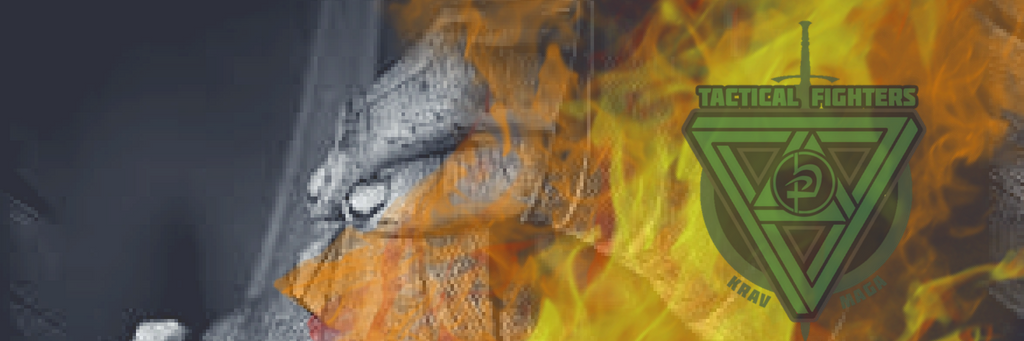 TacFighters's profile banner image
