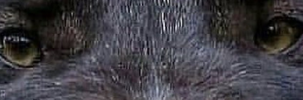VONAS's profile banner image