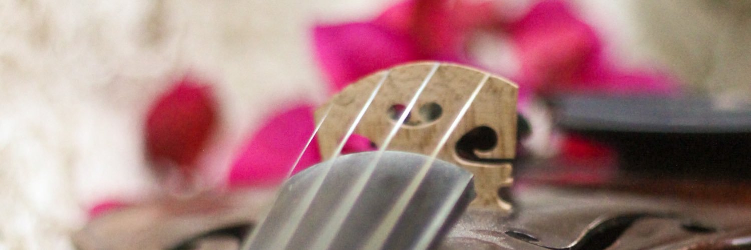 MaurineFrida's profile banner image