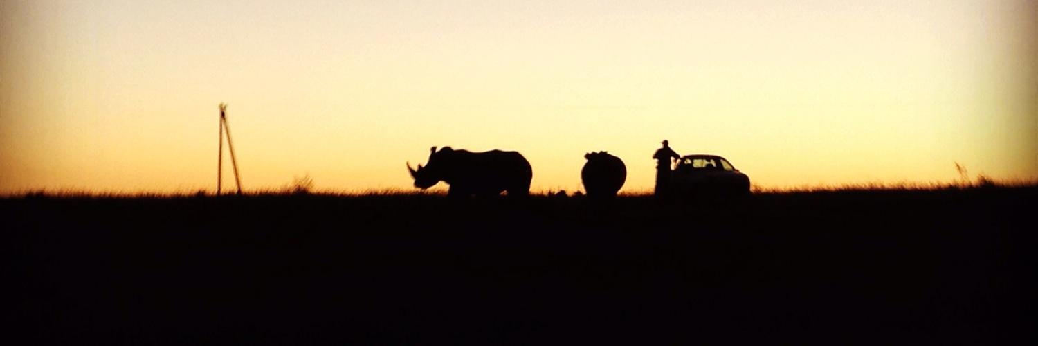 the_slowrunner's profile banner image