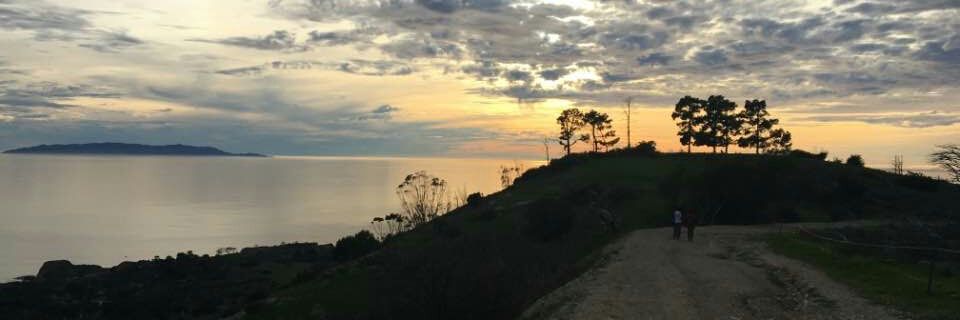 Charlie Perkins banner