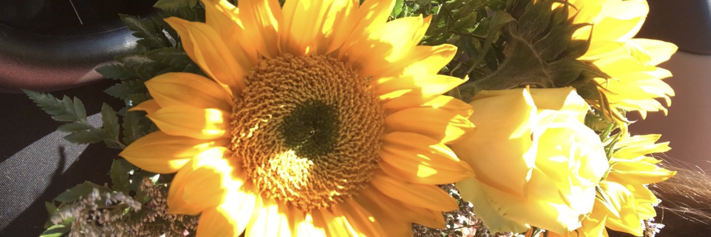 CheySummerRice's profile banner image