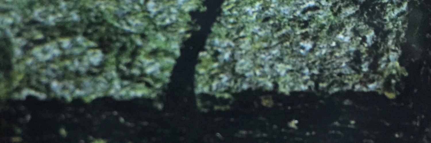 gimmasi's profile banner image