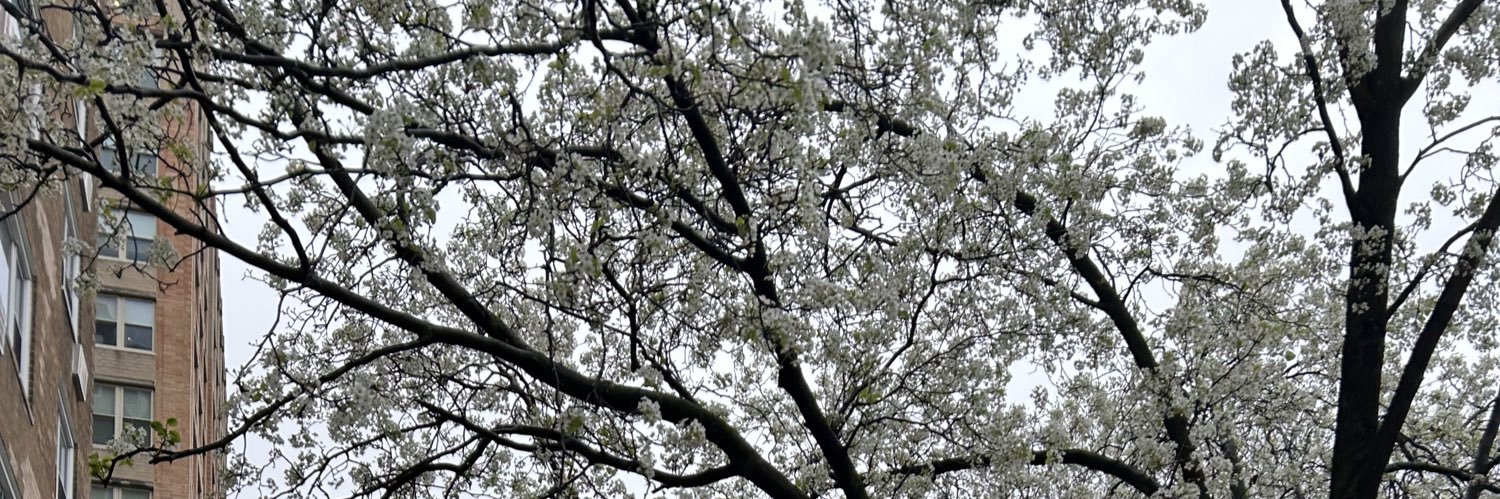 kayceeemmx's profile banner image