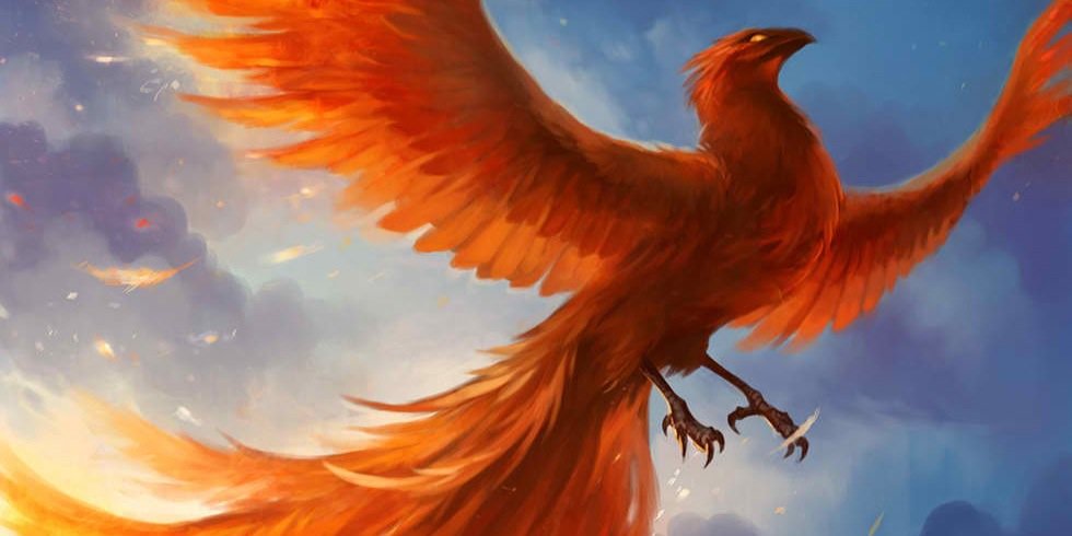 rossireese's profile banner image
