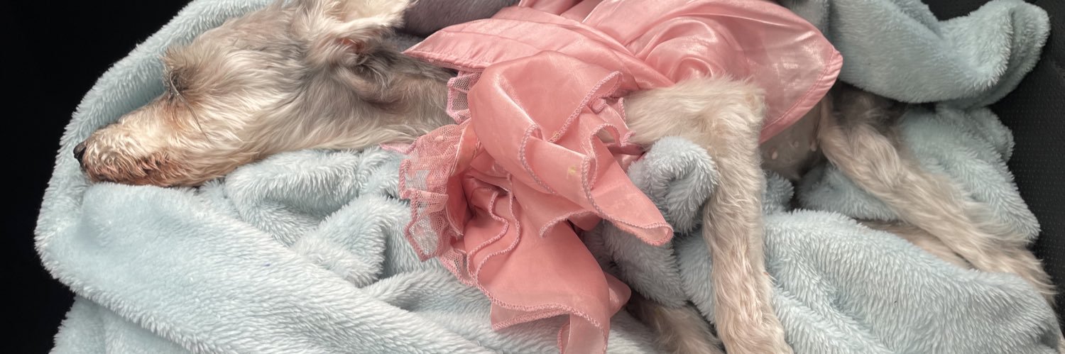 Regi Segura ❤️‍🔥 banner