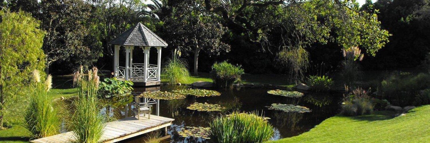 Garden & Pond Depot (@gardenandpond) | Twitter