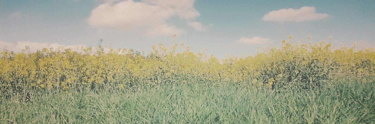 _ali_forever_'s profile banner image