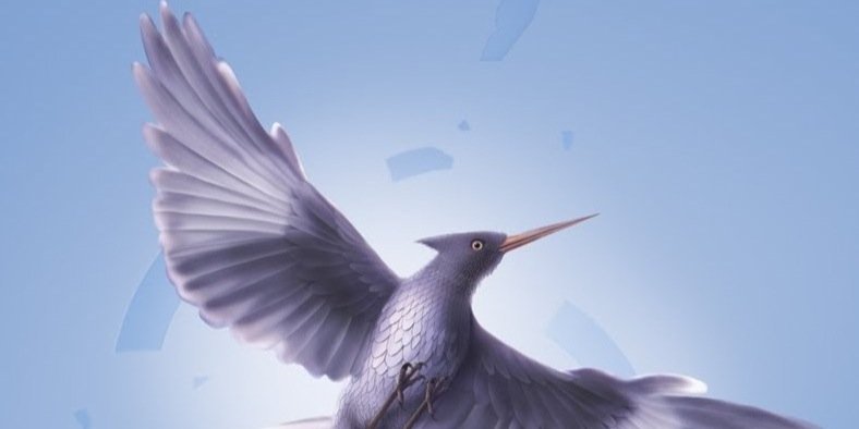 Raiseyourwings2's profile banner image