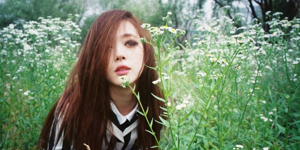 TM_Sulli94's profile banner image